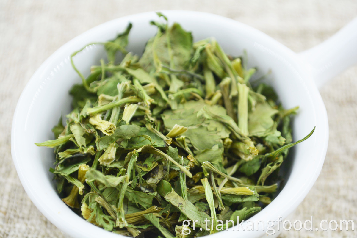 Premium dehydrated coriander leaves